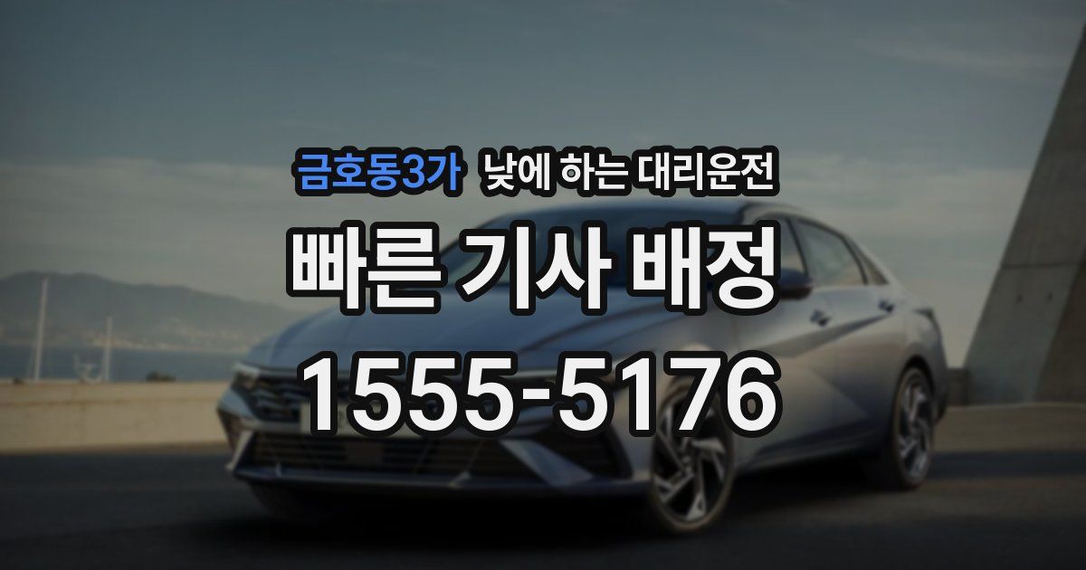 금호동3가 낮에 하는 대리운전