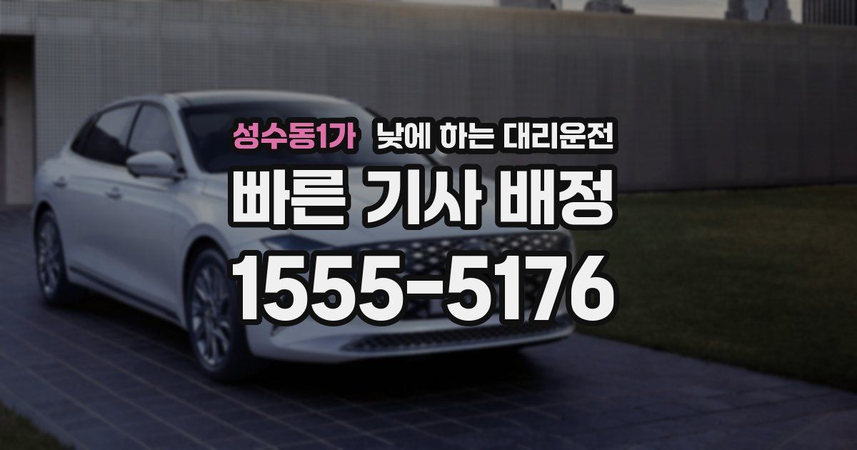 성수동1가 낮에 하는 대리운전