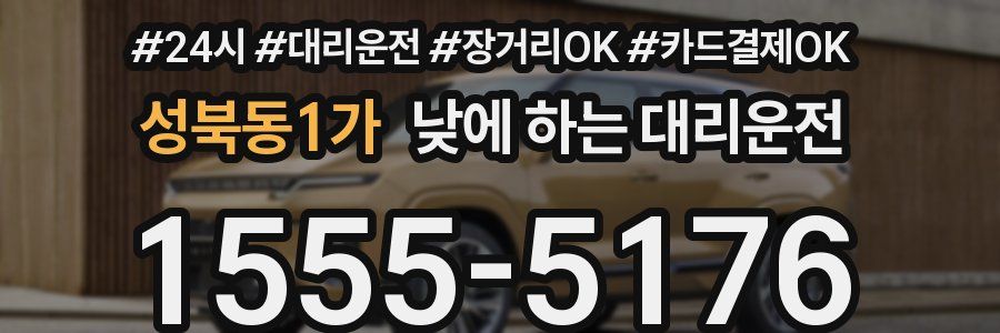 성북동1가 낮에 하는 대리운전