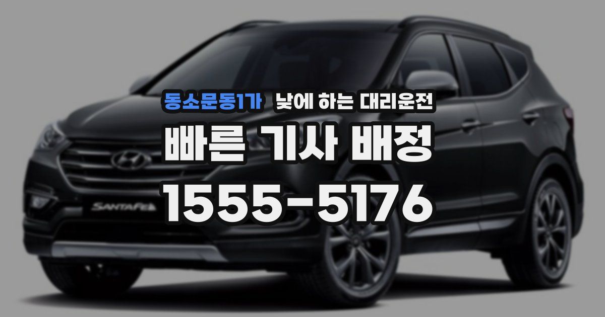동소문동1가 낮에 하는 대리운전
