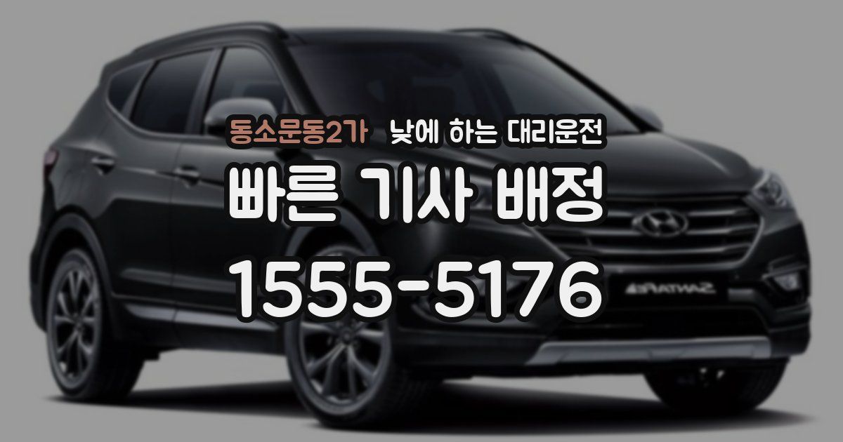 동소문동2가 낮에 하는 대리운전