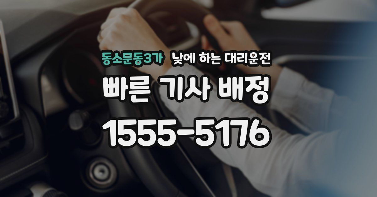 동소문동3가 낮에 하는 대리운전