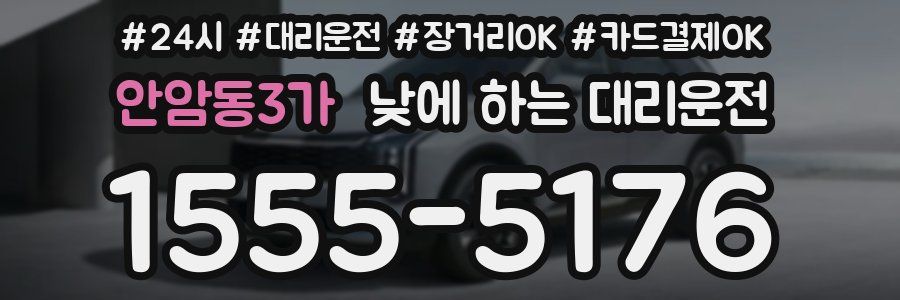 안암동3가 낮에 하는 대리운전