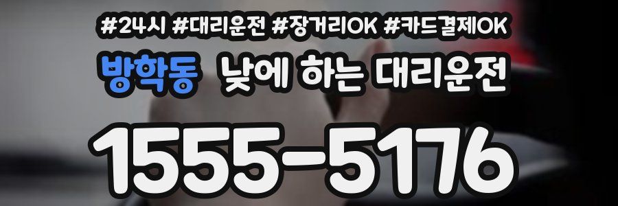 방학동 낮에 하는 대리운전