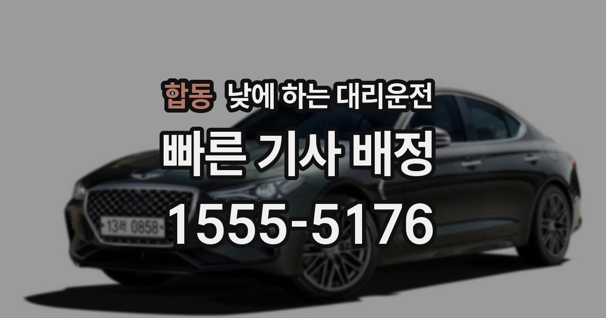 합동 낮에 하는 대리운전