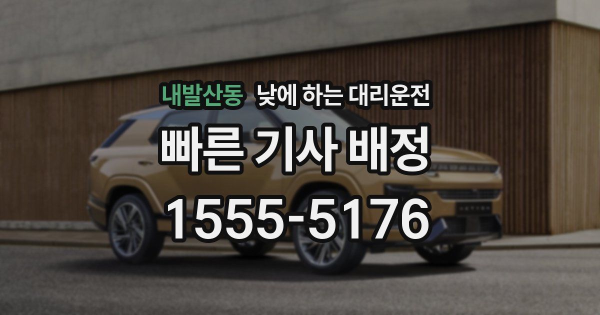 내발산동 낮에 하는 대리운전