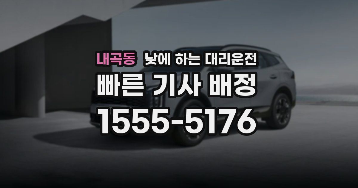 내곡동 낮에 하는 대리운전