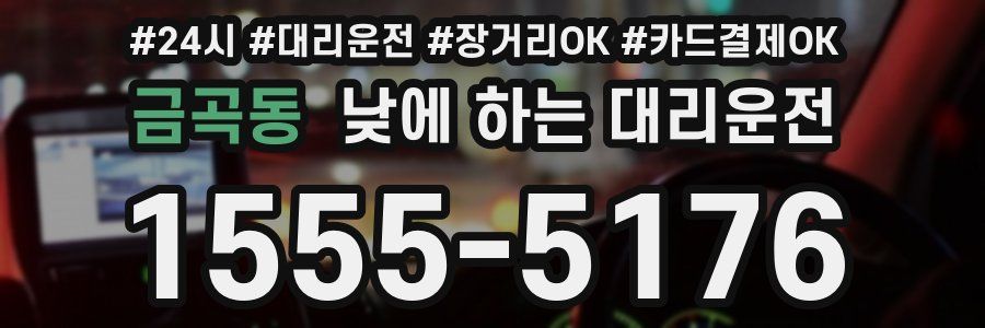 금곡동 낮에 하는 대리운전