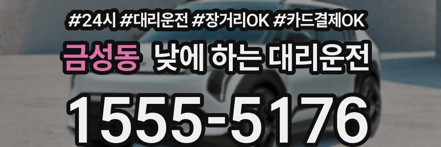 금성동 낮에 하는 대리운전
