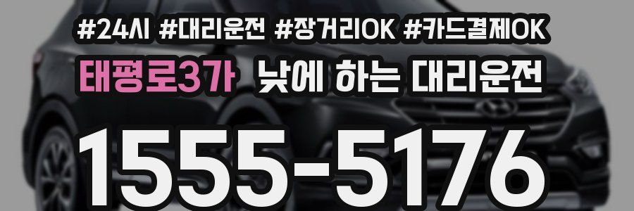 태평로3가 낮에 하는 대리운전
