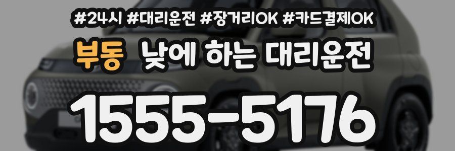 부동 낮에 하는 대리운전