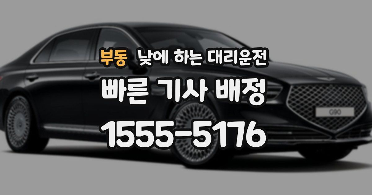 부동 낮에 하는 대리운전