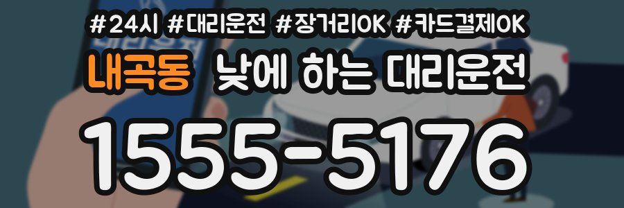 내곡동 낮에 하는 대리운전