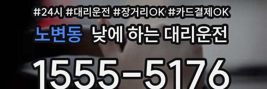 노변동 낮에 하는 대리운전