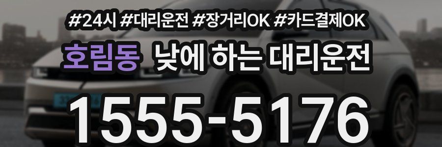 호림동 낮에 하는 대리운전