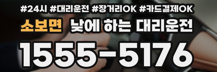 소보면 낮에 하는 대리운전