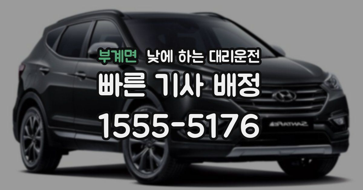 부계면 낮에 하는 대리운전