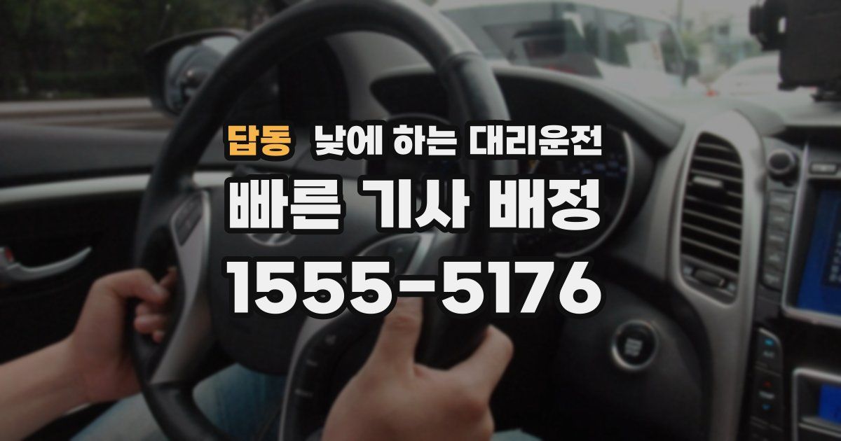 답동 낮에 하는 대리운전
