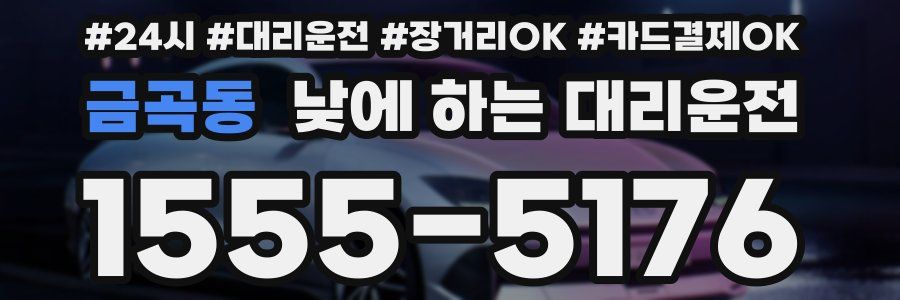 금곡동 낮에 하는 대리운전