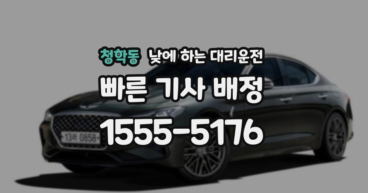 청학동 낮에 하는 대리운전