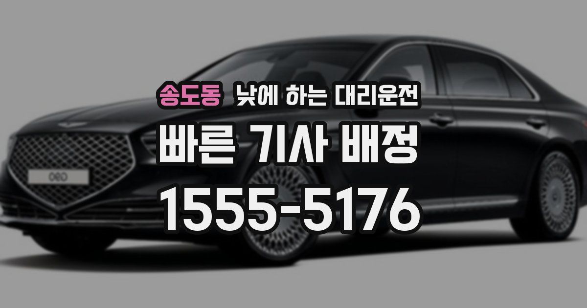 송도동 낮에 하는 대리운전