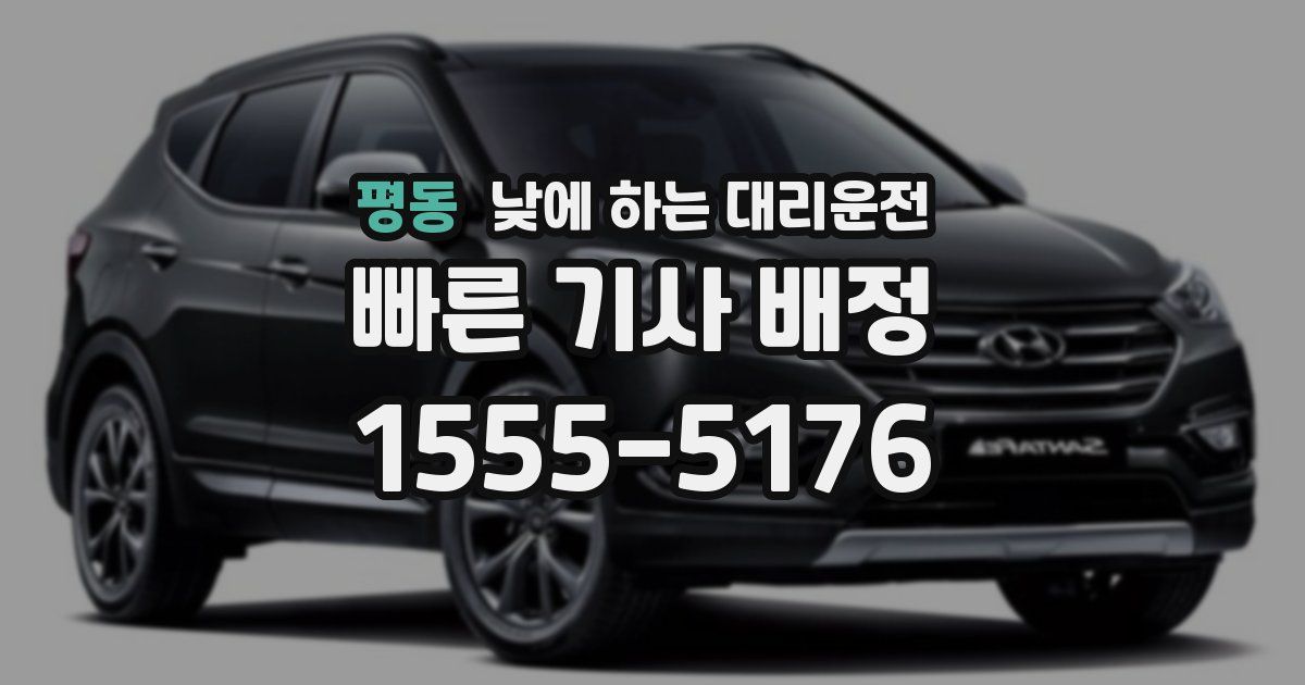 평동 낮에 하는 대리운전