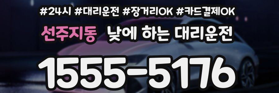 선주지동 낮에 하는 대리운전