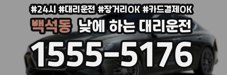 백석동 낮에 하는 대리운전