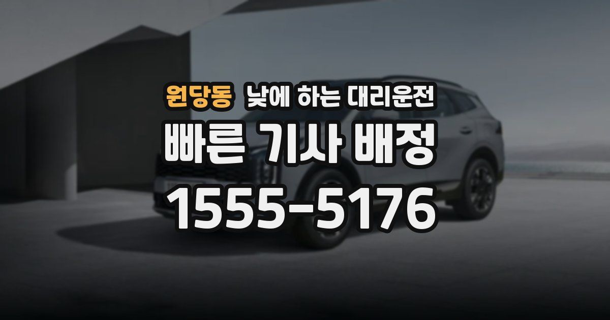 원당동 낮에 하는 대리운전