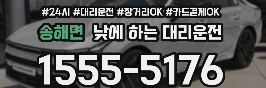 송해면 낮에 하는 대리운전
