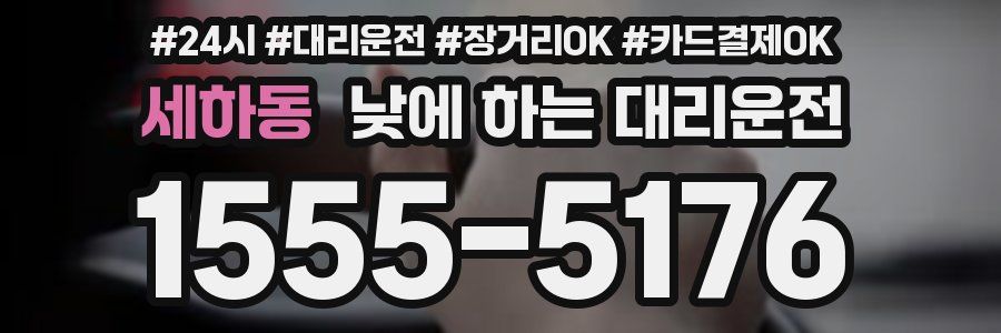 세하동 낮에 하는 대리운전