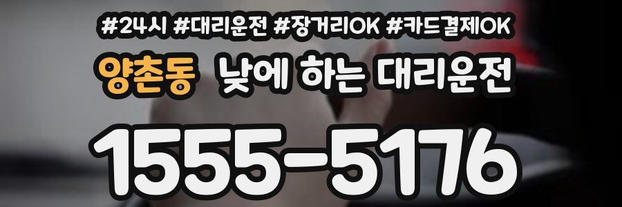 양촌동 낮에 하는 대리운전