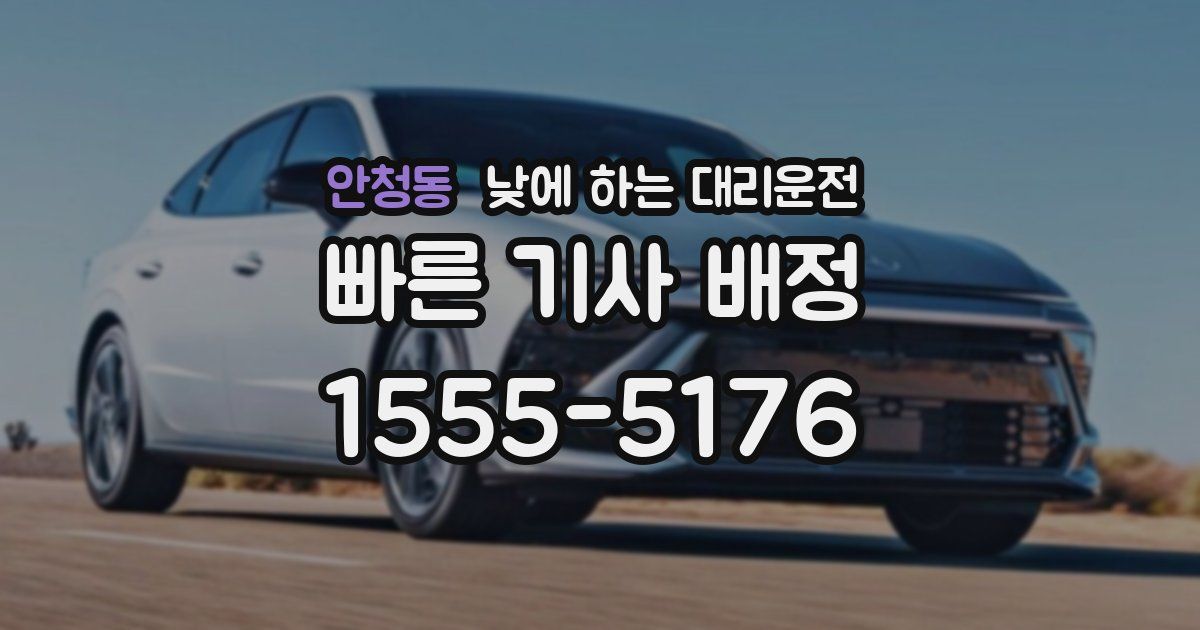 안청동 낮에 하는 대리운전