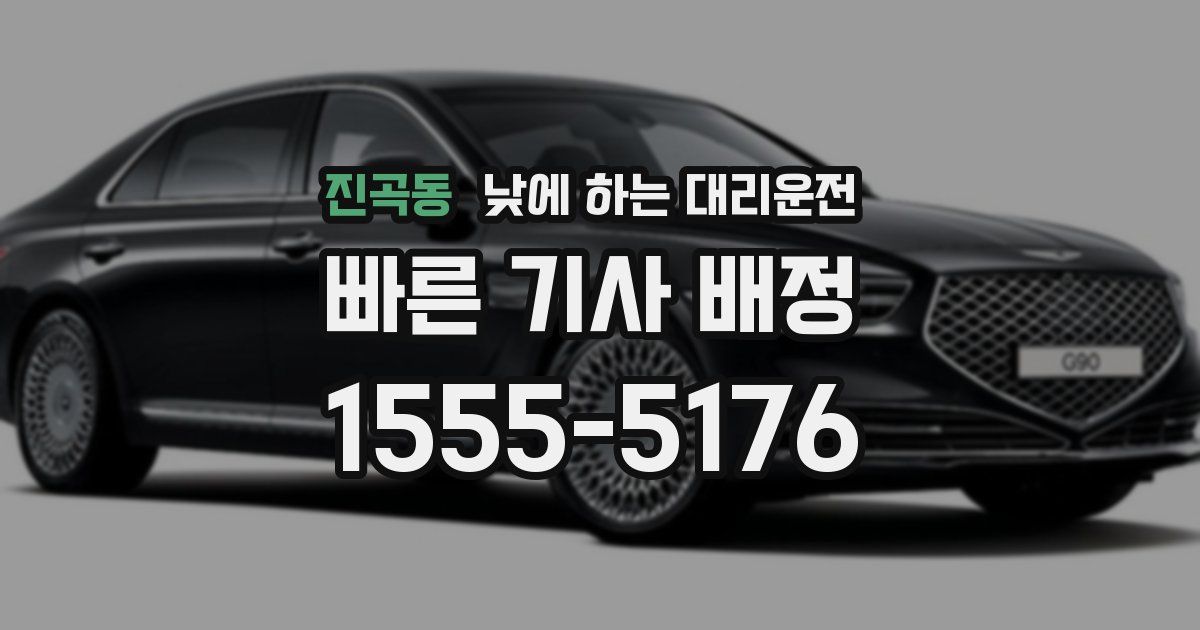 진곡동 낮에 하는 대리운전