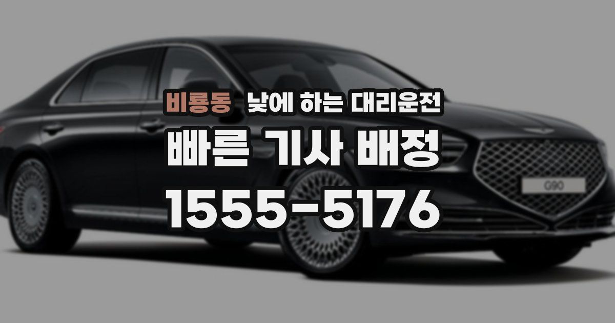 비룡동 낮에 하는 대리운전