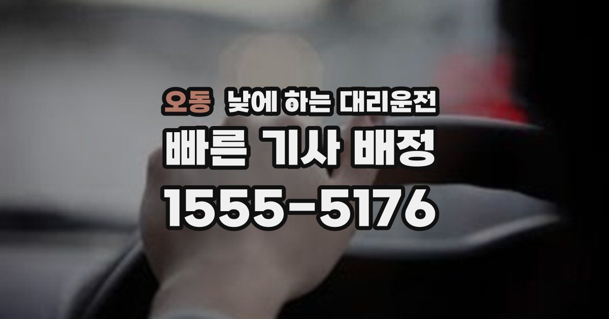 오동 낮에 하는 대리운전