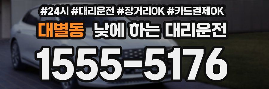 대별동 낮에 하는 대리운전