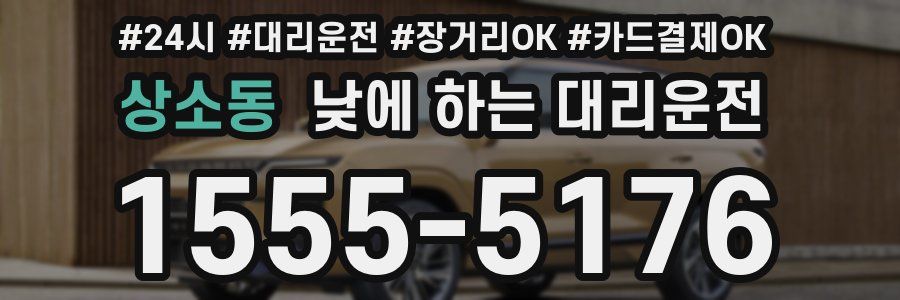상소동 낮에 하는 대리운전