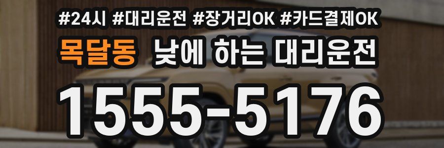 목달동 낮에 하는 대리운전