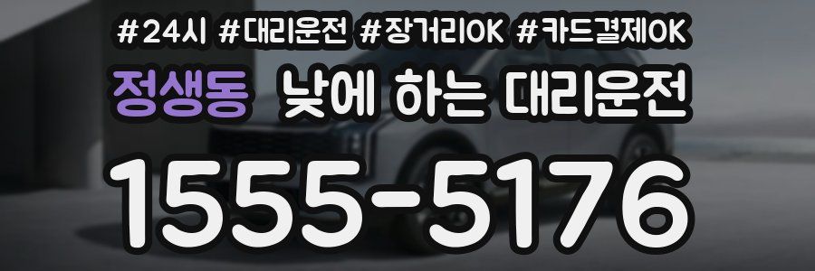 정생동 낮에 하는 대리운전