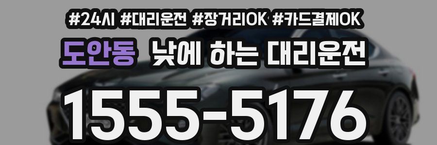 도안동 낮에 하는 대리운전