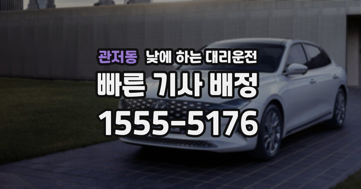 관저동 낮에 하는 대리운전