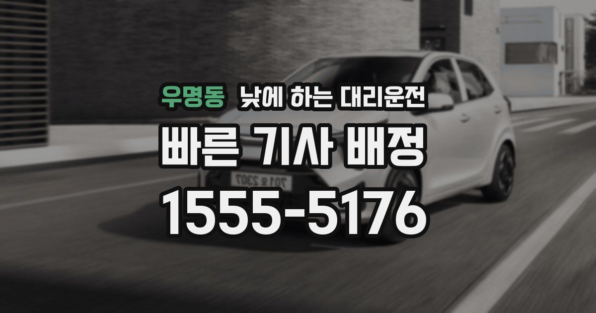 우명동 낮에 하는 대리운전