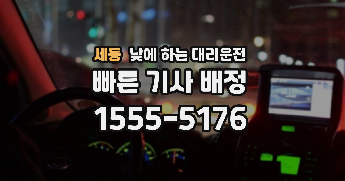 세동 낮에 하는 대리운전