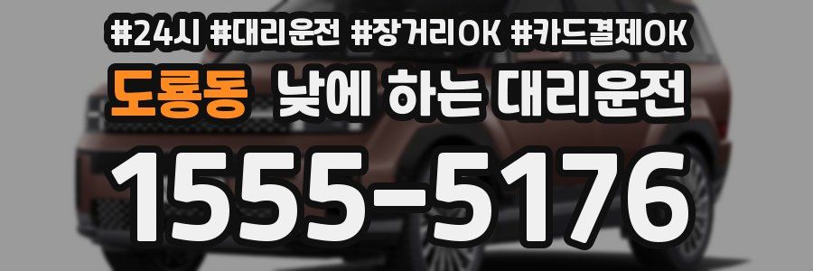 도룡동 낮에 하는 대리운전