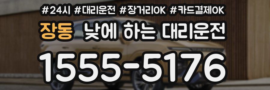 장동 낮에 하는 대리운전