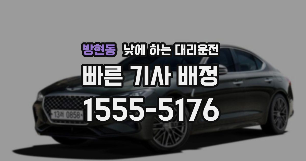 방현동 낮에 하는 대리운전