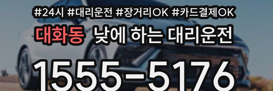대화동 낮에 하는 대리운전