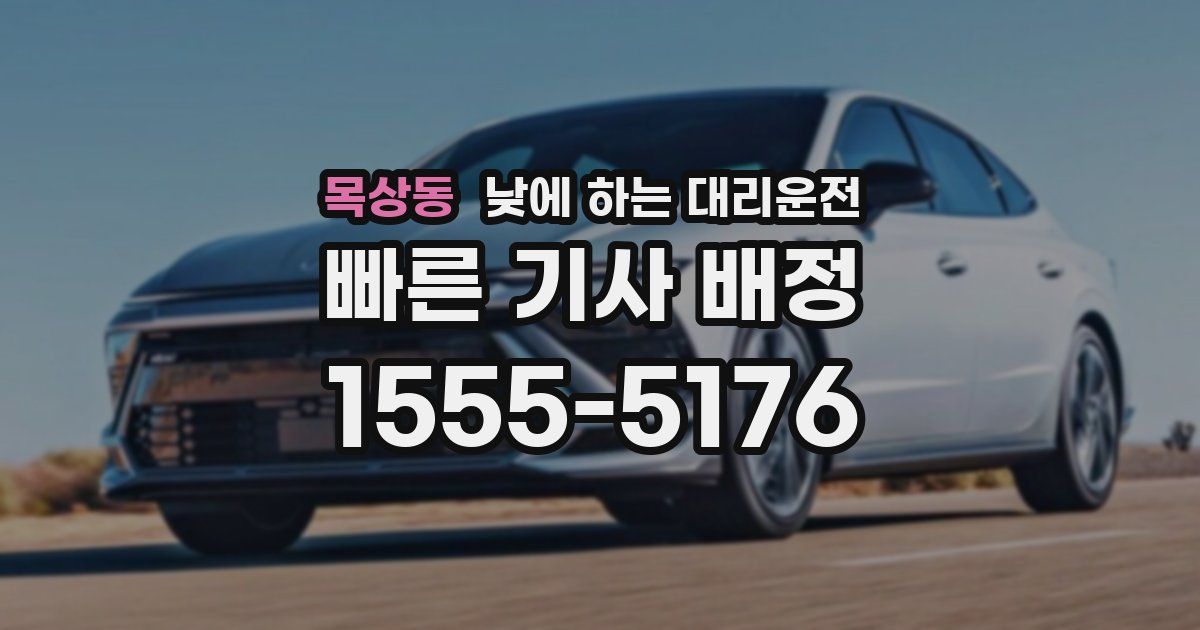 목상동 낮에 하는 대리운전