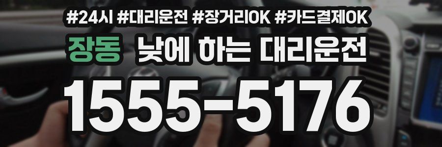 장동 낮에 하는 대리운전